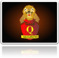 Good Q Security